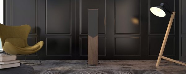 AE309²-Web-Header-Walnut-scaled