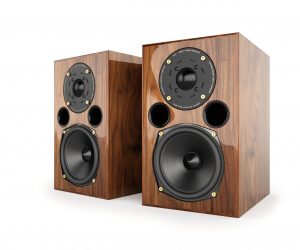AE1-40th-Anniversary-Walnut-White-Background-scaled-1